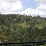 bali1